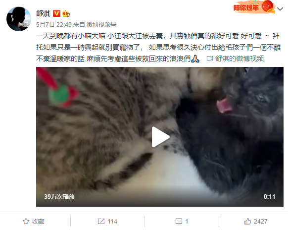 舒淇晒小动物的视频 倡议领养流浪小猫第1张图片