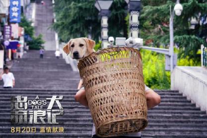 《忠犬流浪记》8月20日全国公映 搜救犬叮当真实原型改编引期待第2张图片