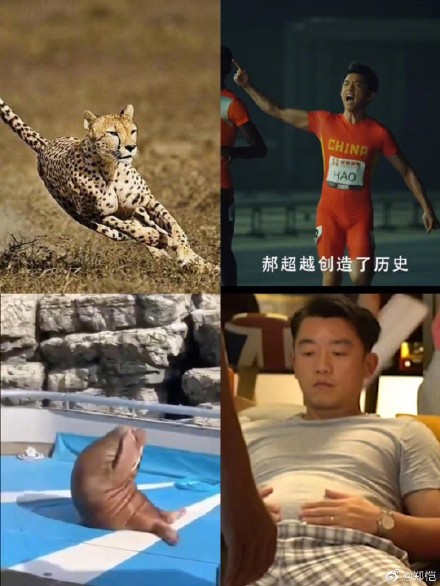 郑恺拍电影两月胖了40斤  网友P图撞脸动物第3张图片