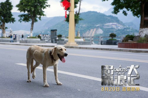 电影《忠犬流浪记》曝主题曲MV 献给所有狗狗和爱狗人第1张图片