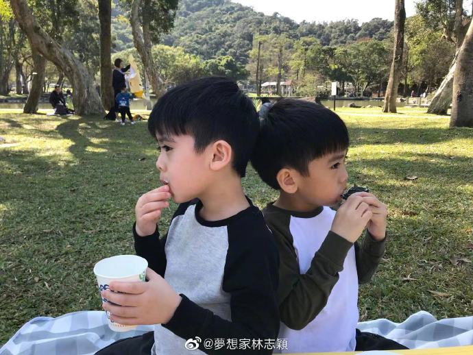 林志颖晒双胞胎儿子公园野餐照 穿兄弟装草坪玩耍第2张图片