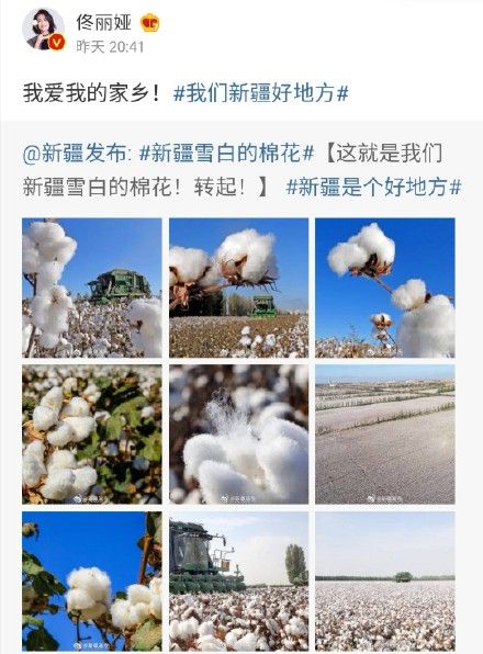 H&M惹众怒！佟丽娅肖战等众星发声支持新疆棉花第1张图片
